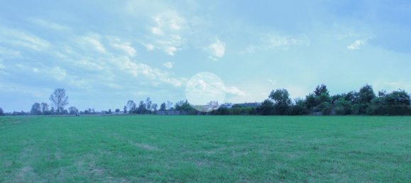 Terreno em Quintano, Italy 10000 m² N.º 293762 10