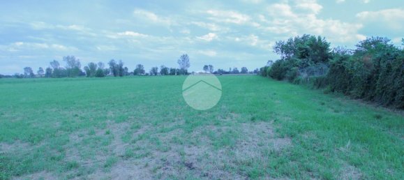 Terreno em Quintano, Italy 10000 m² N.º 293762 6