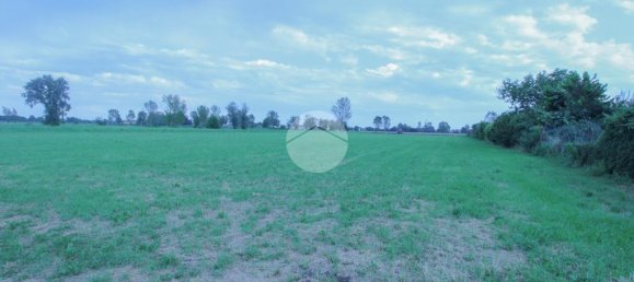 Terreno em Quintano, Italy 10000 m² N.º 293762 2