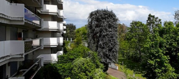 Apartamento T2 em Suresnes, France N.º 124714 2