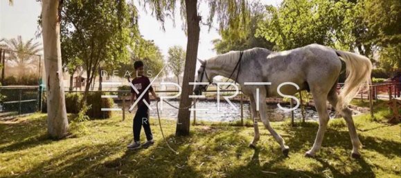 4 bedrooms Townhouse in Yas Island, UAE No. 56750 4