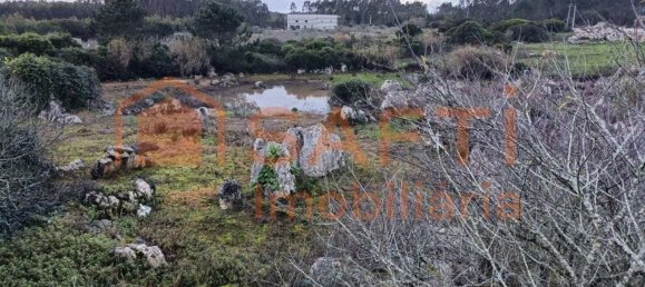 4 bedrooms House in Lourinha, Portugal No. 59922 18