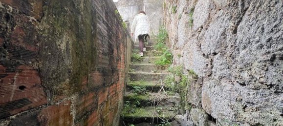 8 bedrooms Villa in Porto, Portugal No. 102064 10