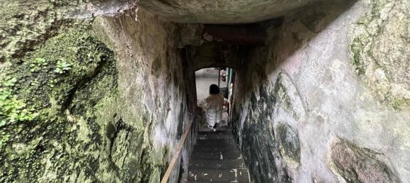 8 bedrooms Villa in Porto, Portugal No. 102064 7