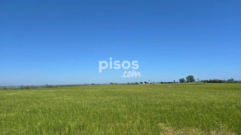 Grundstück in Amposta, Spain 13600m², Nr. 144783