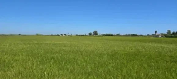 Grundstück in Amposta, Spain 13600m², Nr. 144783 2