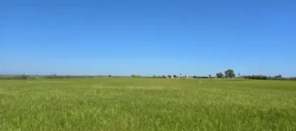 Grundstück in Amposta, Spain 13600m², Nr. 144783 3