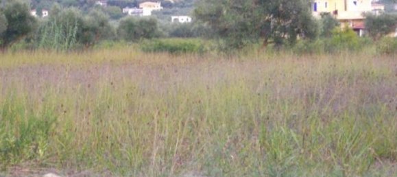 Terra em Zakynthos, Greece N.º 612 8