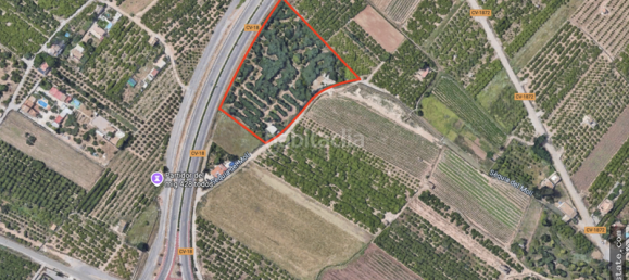 Terrain à Almassora, Spain 11220m² No. 135463 2