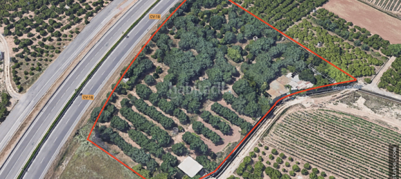 Terrain à Almassora, Spain 11220m² No. 135463 3