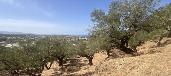 Grundstück in Zakynthos, Greece, Nr. 77796 8