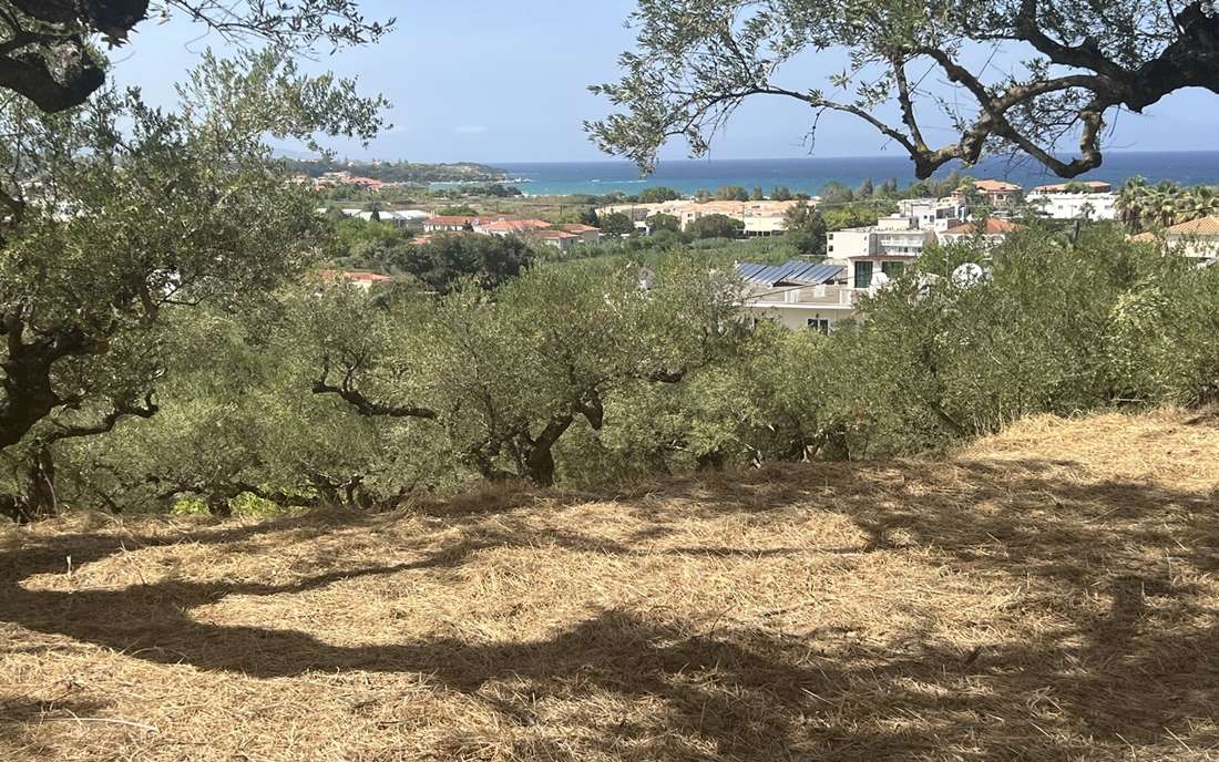 Grundstück in Zakynthos, Greece, Nr. 77796