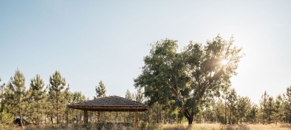 3 bedrooms Villa in Alcacer do Sal, Portugal No. 89745 9