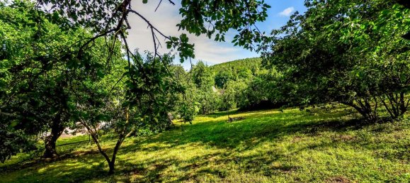 3 غرف نوم تاون هاوس في Odenwaldkreis, Germany رقم 245081 32