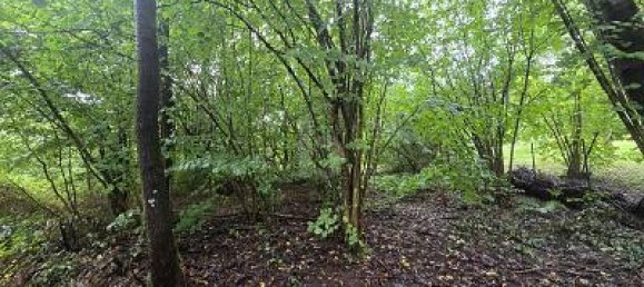 Terreno en Rhein-Neckar-Kreis, Germany 823 m² No. 288109 2