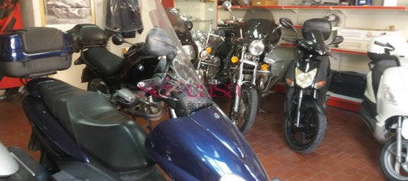 1 room Commercial property in Grosseto, Italy No. 158772 2