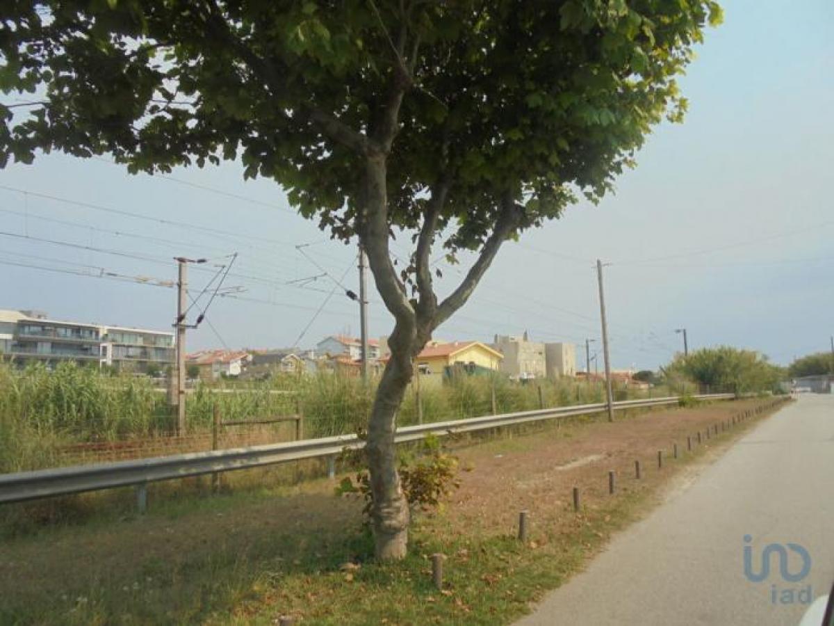 Земельный участок в Вила Нова ди Гая, Португалия № 8684