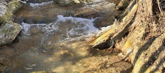 3 rooms Apartment in Ternitz, Austria No. 216835 8