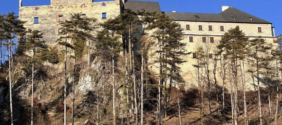 3 rooms Apartment in Ternitz, Austria No. 216835 10