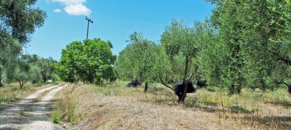 Propriedade comercial T1 em Corfu, Greece N.º 54773 17