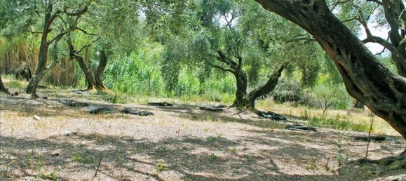 Propriedade comercial T1 em Corfu, Greece N.º 54773 21