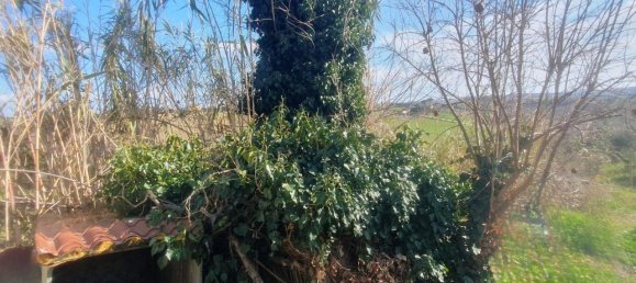 7غرفة منزل في Filottrano, Italy رقم 151950 12