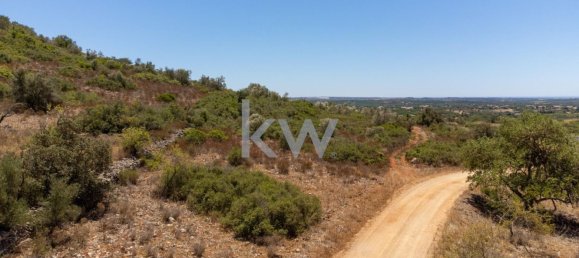 14320m² Land in Sao Bartolomeu de Messines, Portugal No. 61240 12