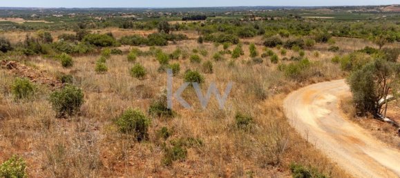 14320m² Land in Sao Bartolomeu de Messines, Portugal No. 61240 18