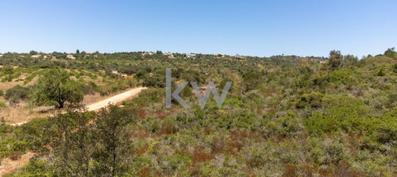 14320m² Land in Sao Bartolomeu de Messines, Portugal No. 61240 11