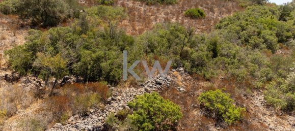 14320m² Land in Sao Bartolomeu de Messines, Portugal No. 61240 17