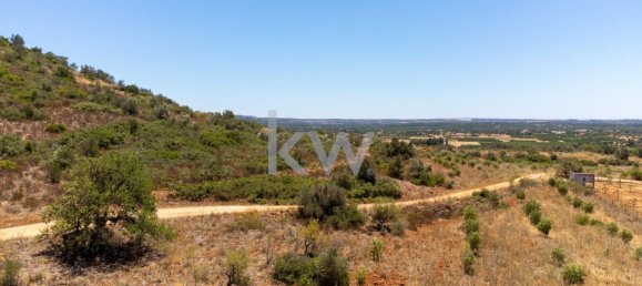 14320m² Land in Sao Bartolomeu de Messines, Portugal No. 61240 13