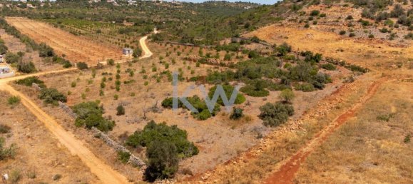 14320m² Land in Sao Bartolomeu de Messines, Portugal No. 61240 8
