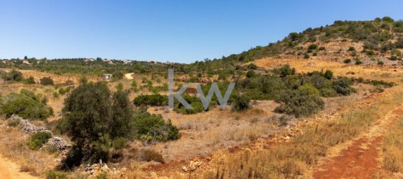 14320m² Land in Sao Bartolomeu de Messines, Portugal No. 61240 9
