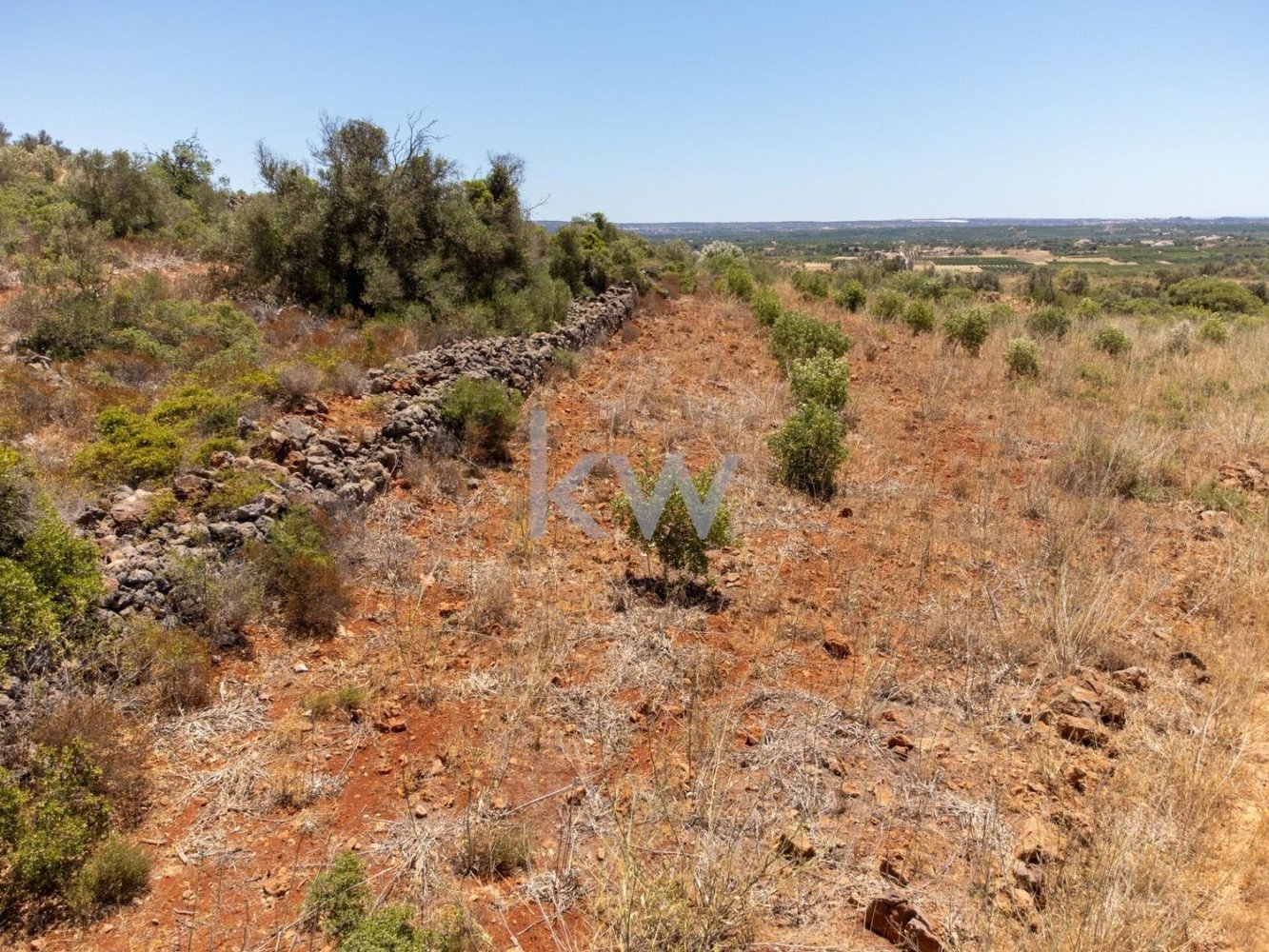 14320m² Land in Sao Bartolomeu de Messines, Portugal No. 61240