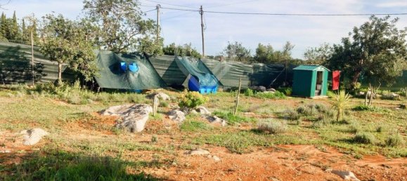 4000m² Land in Pechao, Portugal No. 74635 13