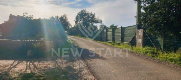 4000m² Land in Pechao, Portugal No. 74635 16