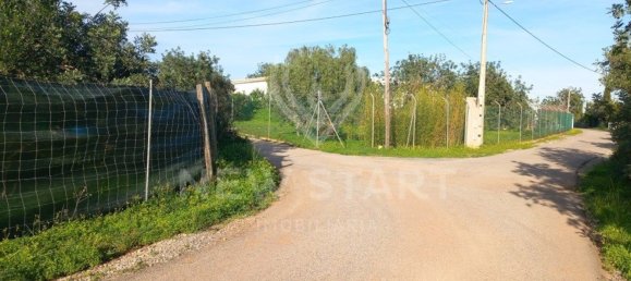 4000m² Land in Pechao, Portugal No. 74635 21