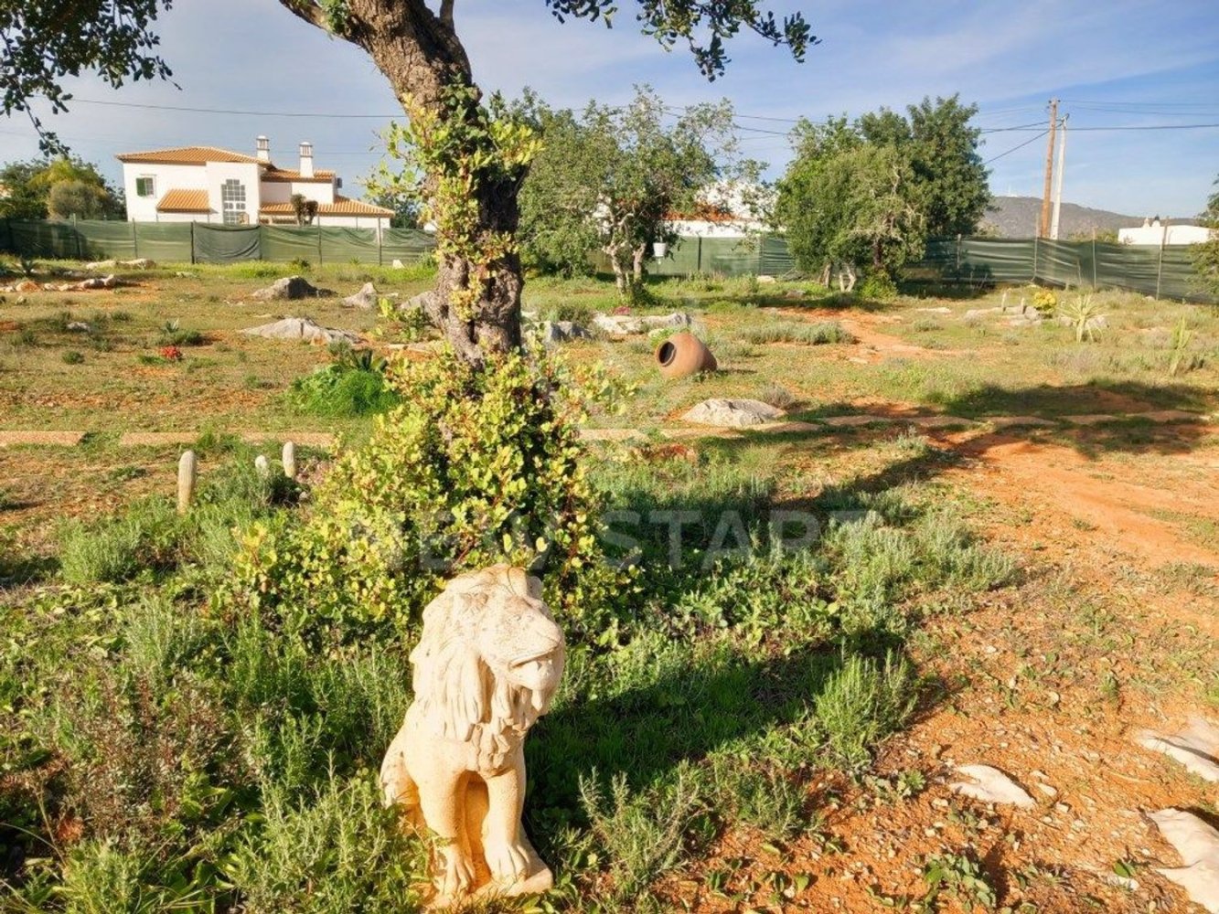 4000m² Land in Pechao, Portugal No. 74635