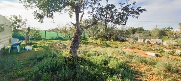 4000m² Land in Pechao, Portugal No. 74635 5
