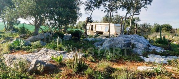 4000m² Land in Pechao, Portugal No. 74635 17