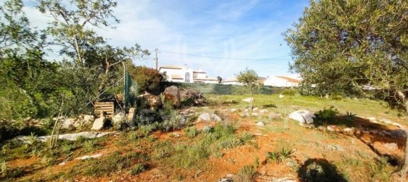 4000m² Land in Pechao, Portugal No. 74635 10