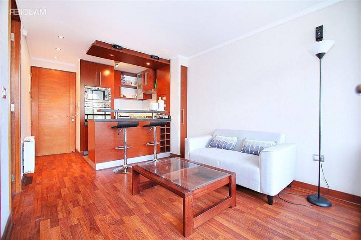 Studio in Santiago, Chile No. 3528