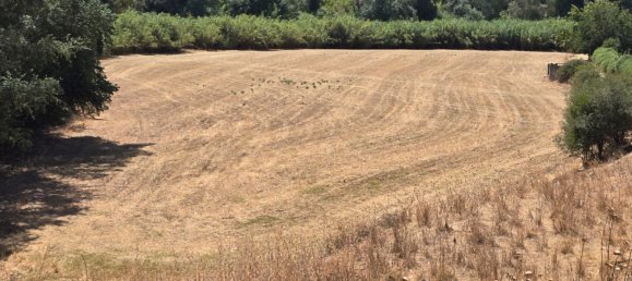 180000m² Land in Coin, Spain No. 190035 24