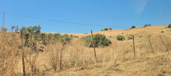 180000m² Land in Coin, Spain No. 190035 11