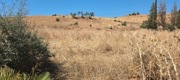 180000m² Land in Coin, Spain No. 190035 4