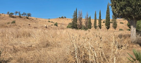 180000m² Land in Coin, Spain No. 190035 5