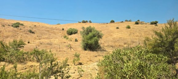 180000m² Land in Coin, Spain No. 190035 8