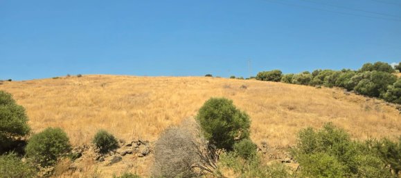 180000m² Land in Coin, Spain No. 190035 19