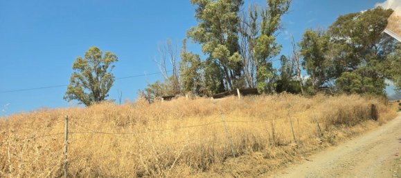 180000m² Land in Coin, Spain No. 190035 6