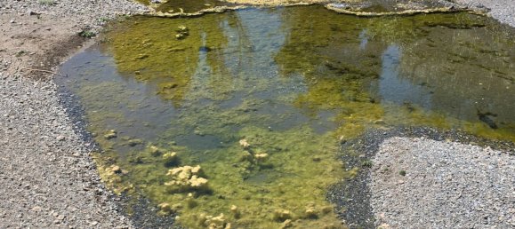 180000m² Land in Coin, Spain No. 190035 3